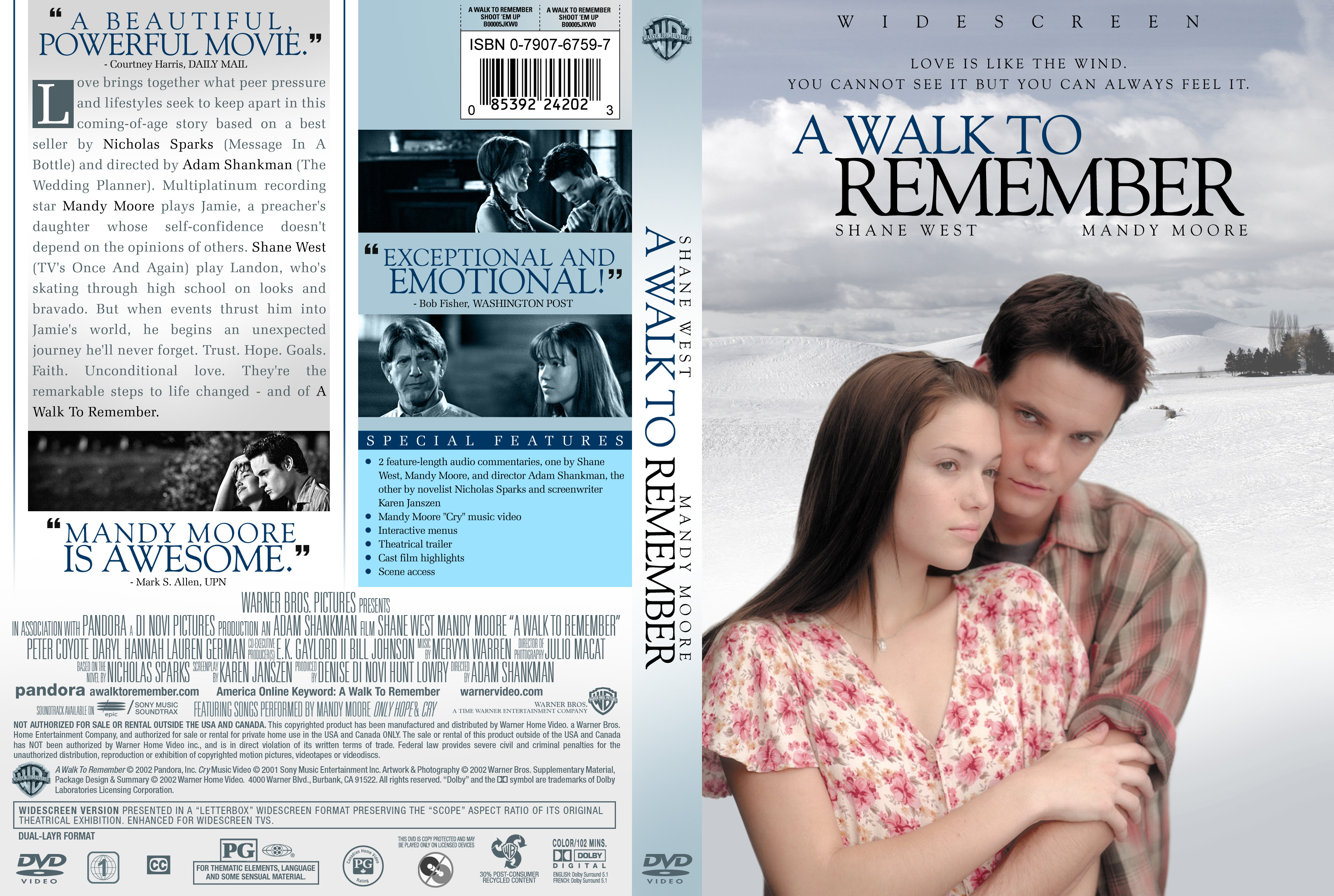 A walk to remembers cast: the ultimate eye candy