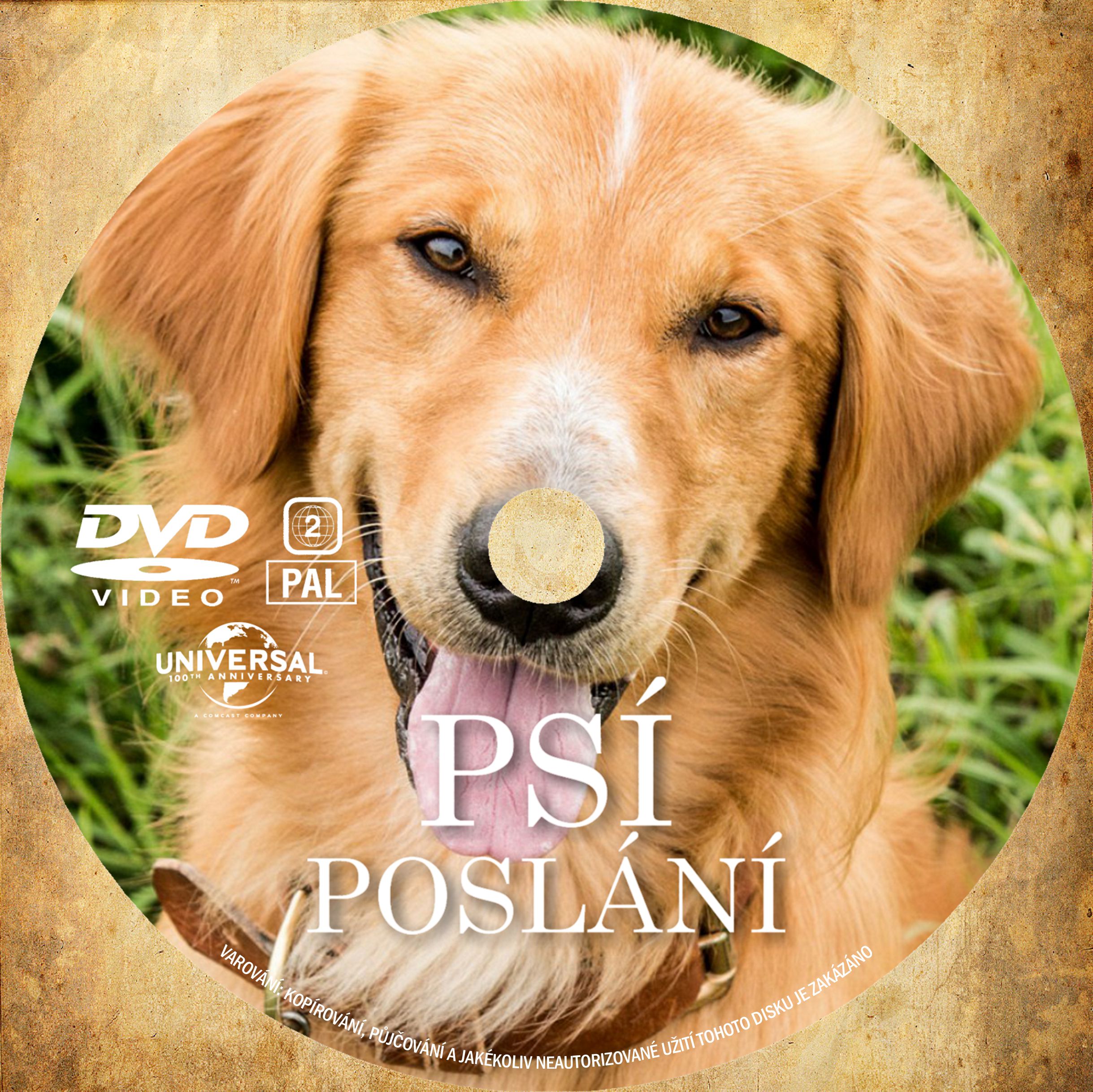 a dogs purpose full movie download