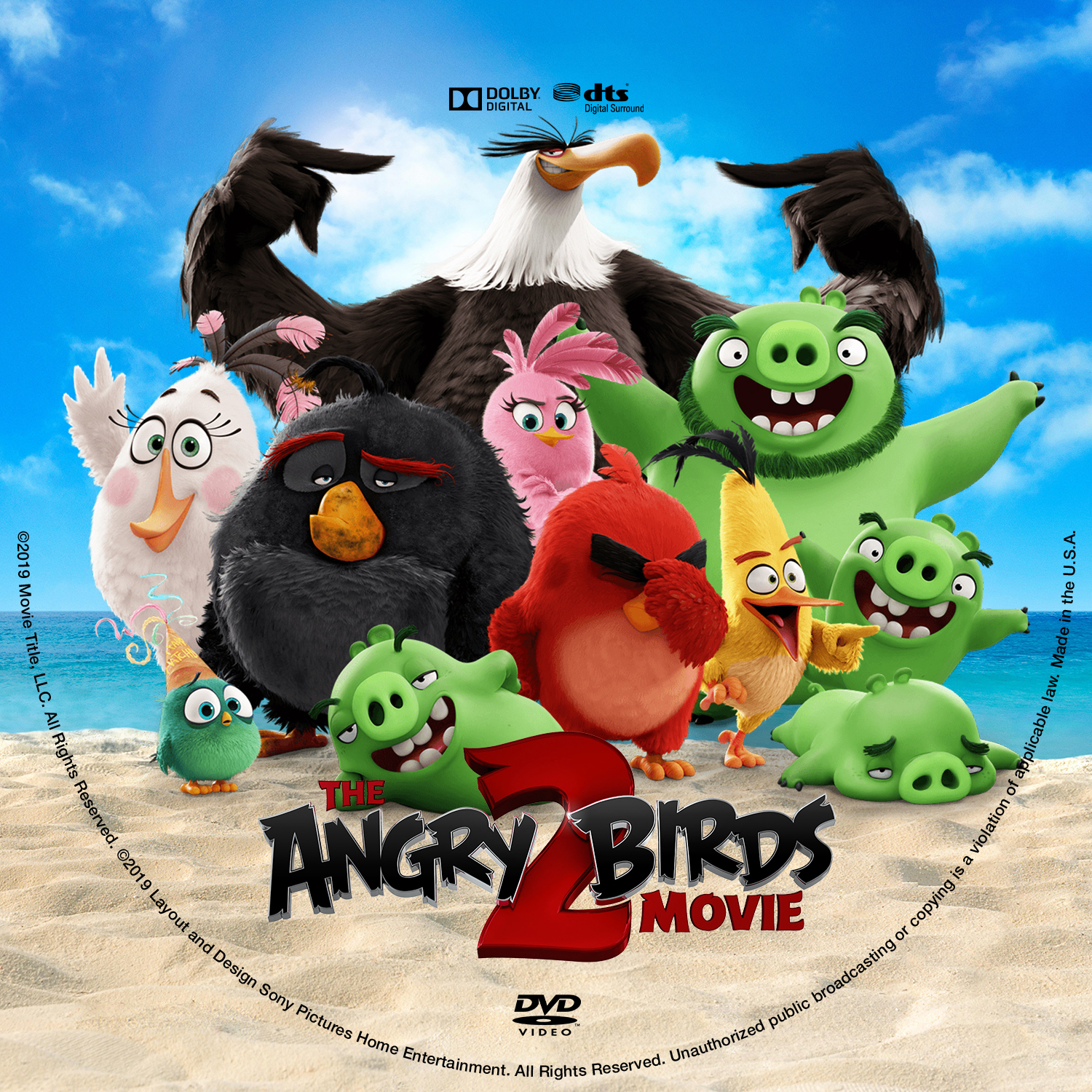 The Angry Birds Movie 2 (DVD Sony Pictures) 