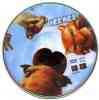 cd