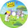 cd