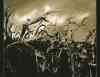 inline